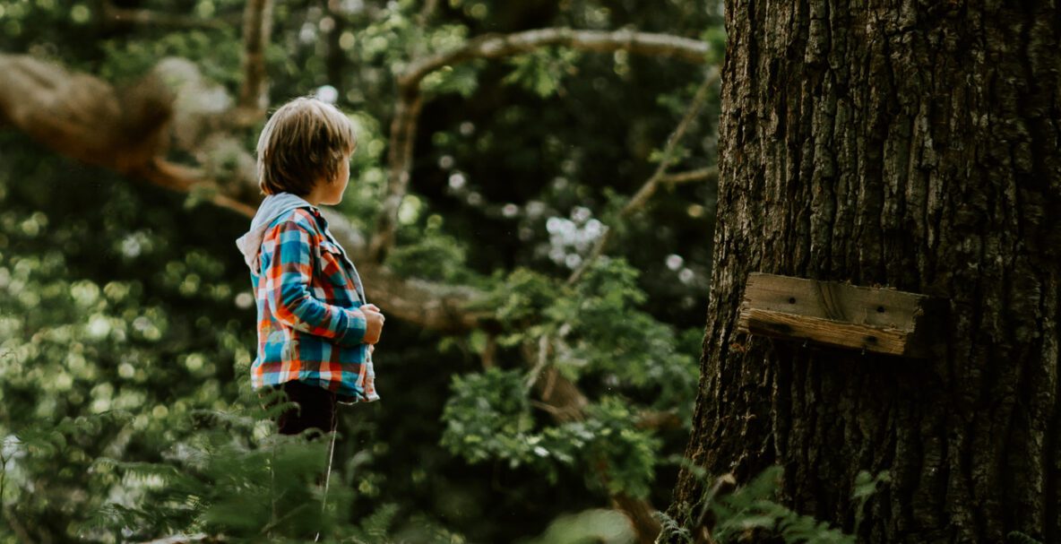 Wrekin Forest School - Lifestyles UK
